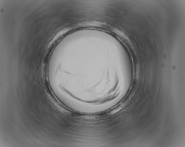 X0000081611404200702121603