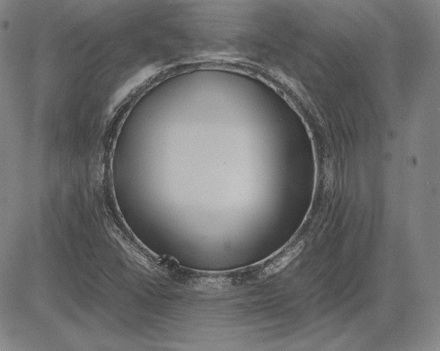 X0000081611406200702121603