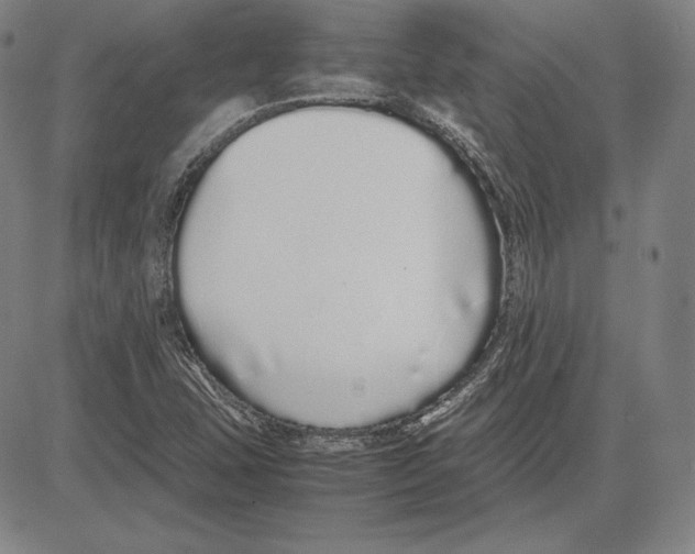 X0000081611407200702121603