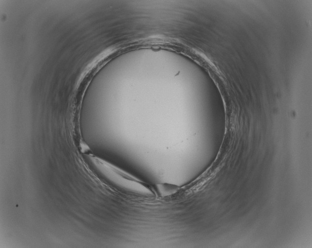 X0000081611410200702121603