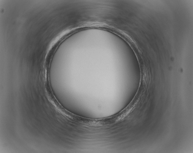 X0000081611414200702121603