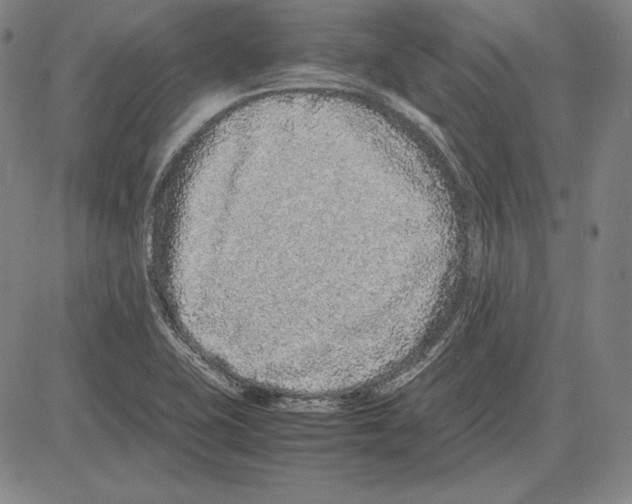 X0000081611415200702121603