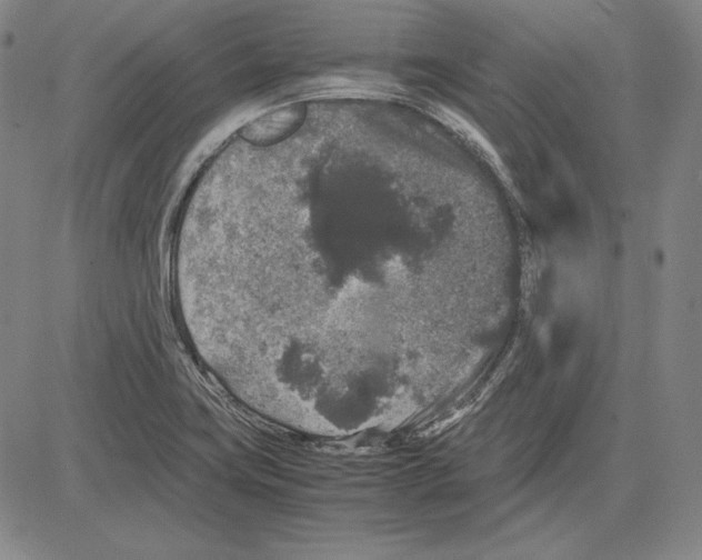 X0000081611419200702121603