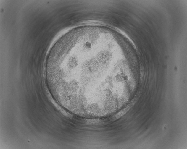 X0000081611421200702121603