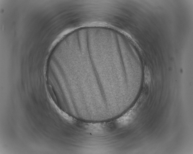 X0000081611422200702121603