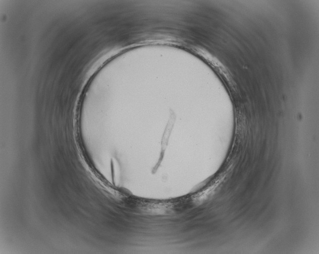 X0000081611423200702121603