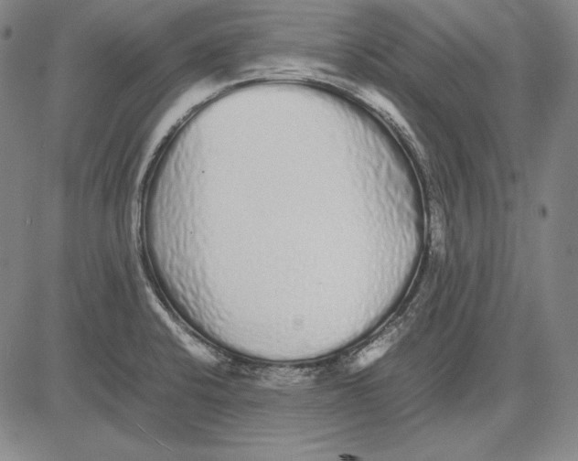 X0000081611424200702121603