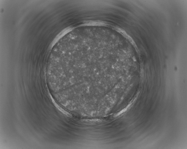 X0000081611425200702121603