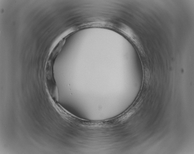 X0000081611426200702121603