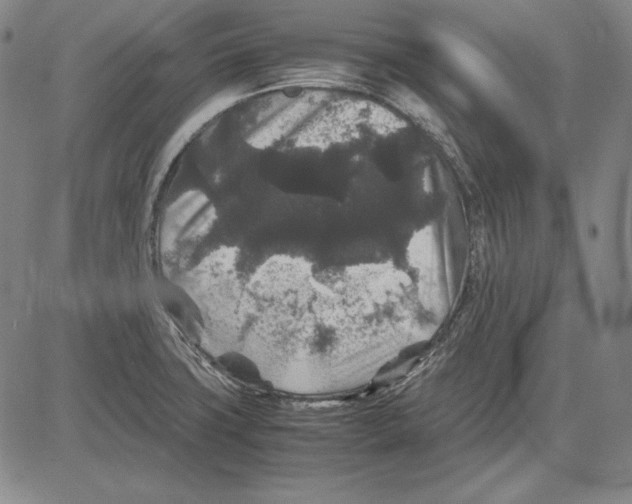 X0000081611427200702121603