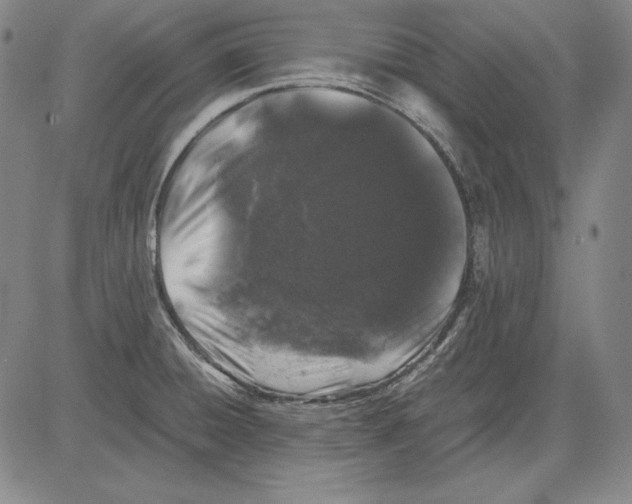 X0000081611428200702121603