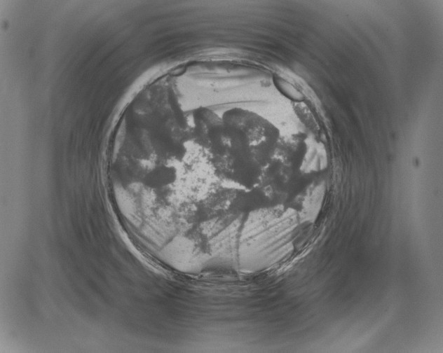 X0000081611429200702121603