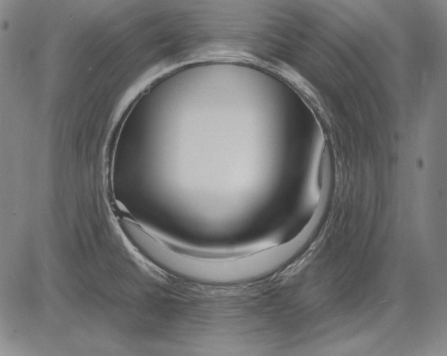 X0000081611430200702121603