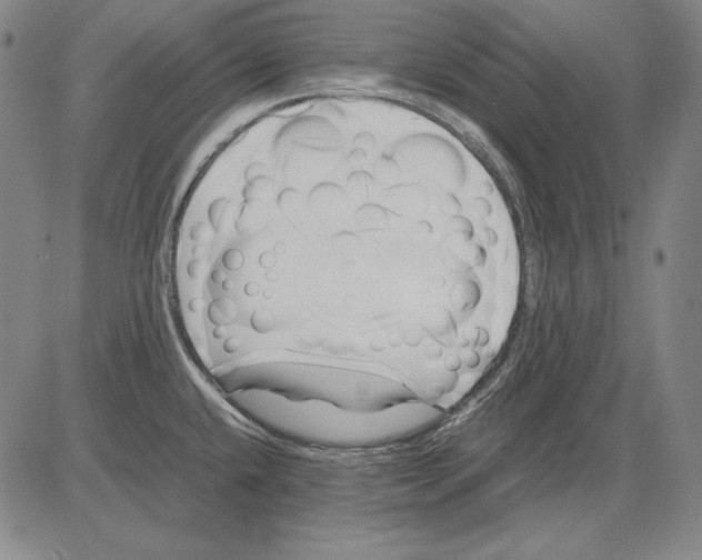 X0000081611432200702121603