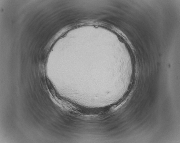 X0000081611433200702121603