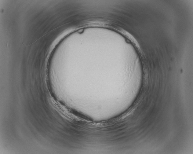 X0000081611435200702121603