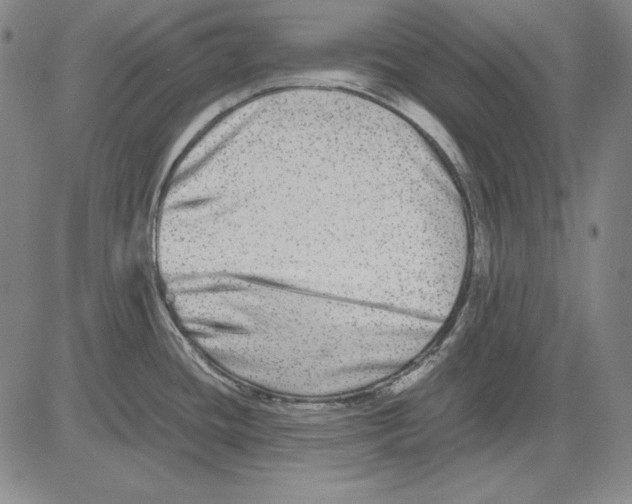 X0000081611436200702121603