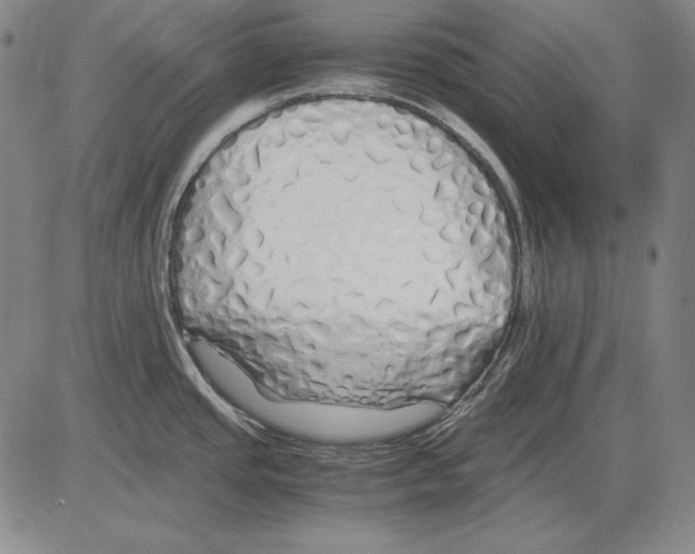 X0000081611437200702121603