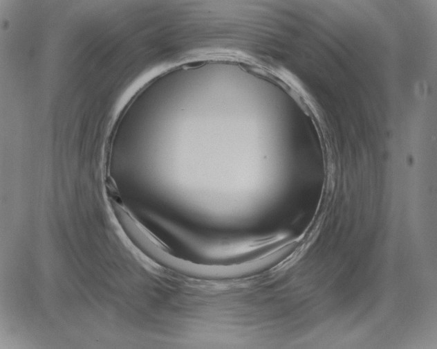 X0000081611438200702121603