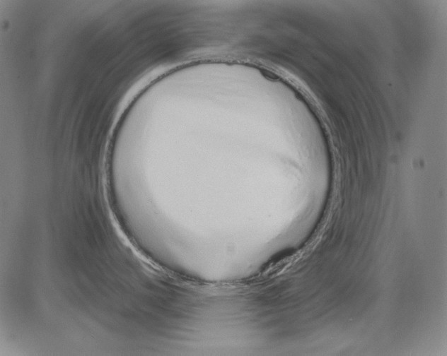 X0000081611440200702121604