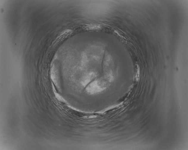 X0000081611441200702121602