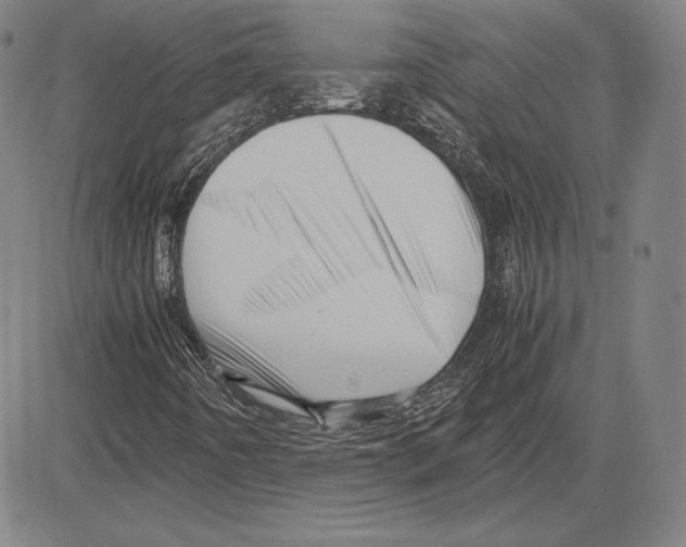 X0000081611442200702121602