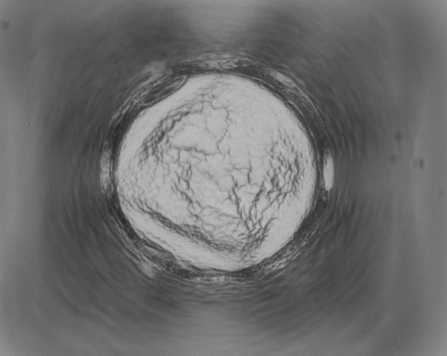 X0000081611444200702121602