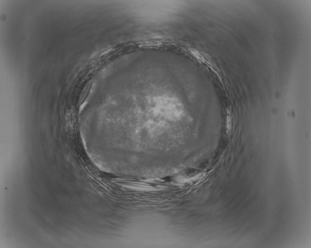 X0000081611445200702121602