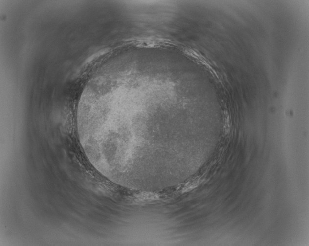 X0000081611446200702121602