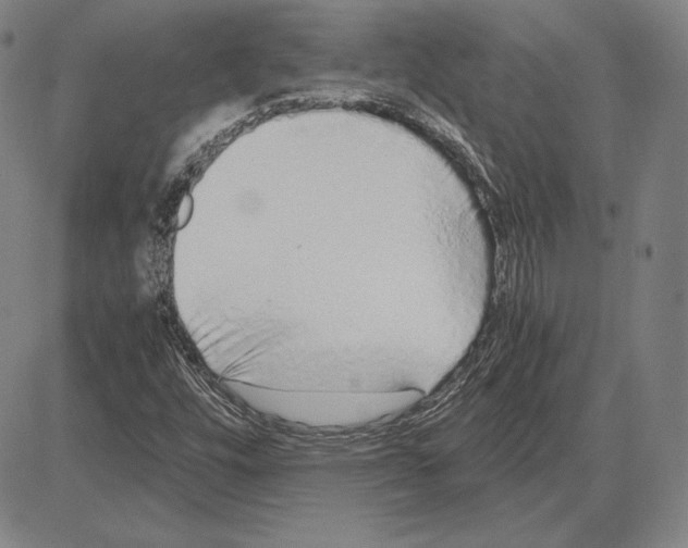 X0000081611448200702121602