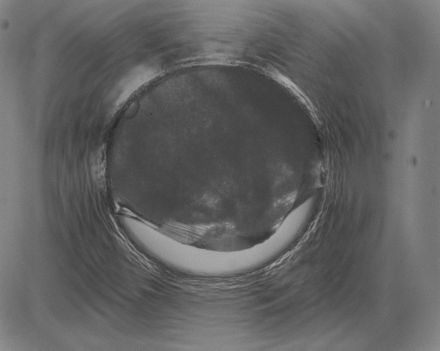 X0000081611450200702121602