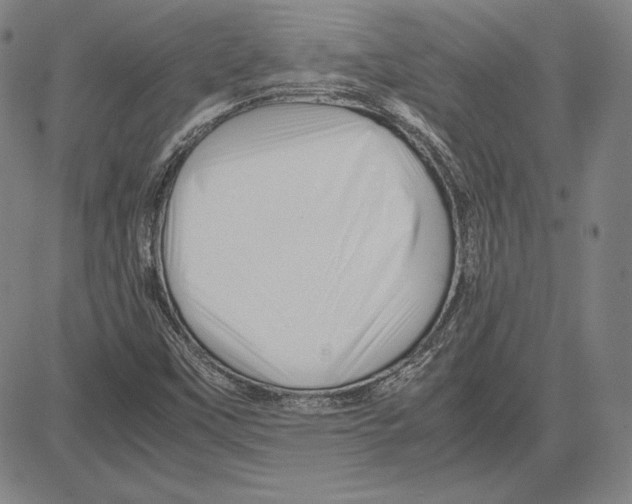 X0000081611451200702121602