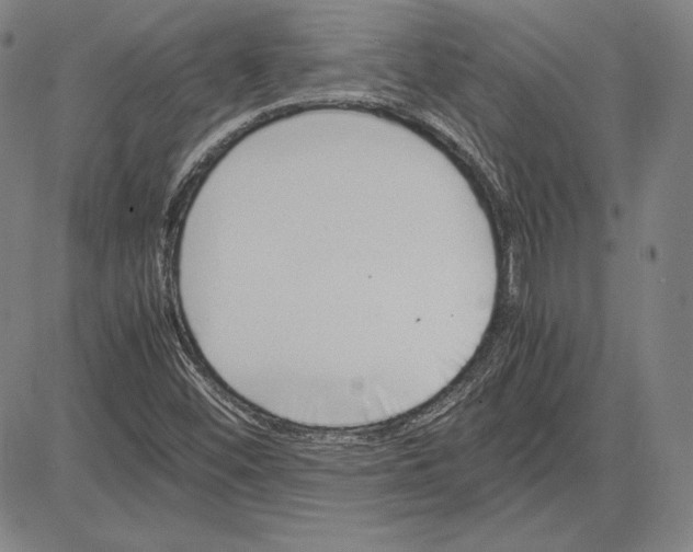 X0000081611452200702121602