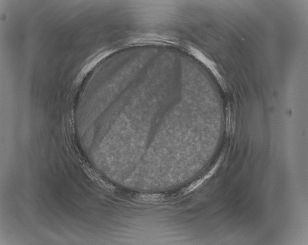 X0000081611453200702121602