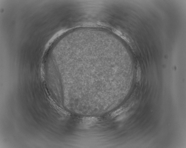 X0000081611454200702121602