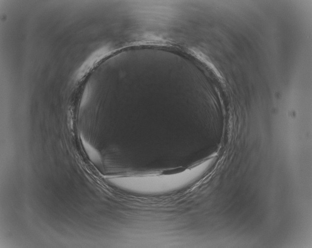 X0000081611455200702121602