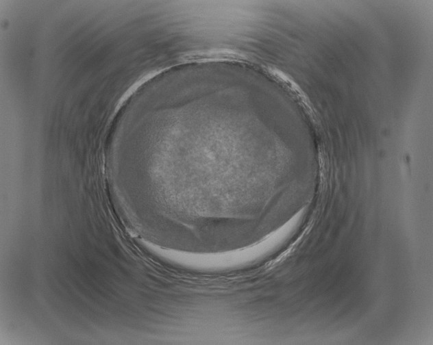 X0000081611457200702121602