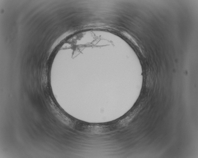 X0000081611458200702121602