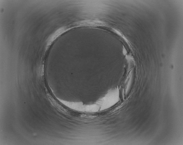 X0000081611459200702121602