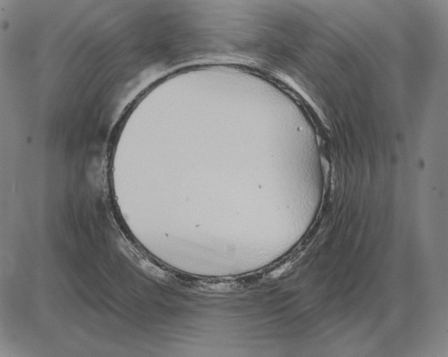 X0000081611460200702121602