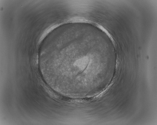 X0000081611461200702121602