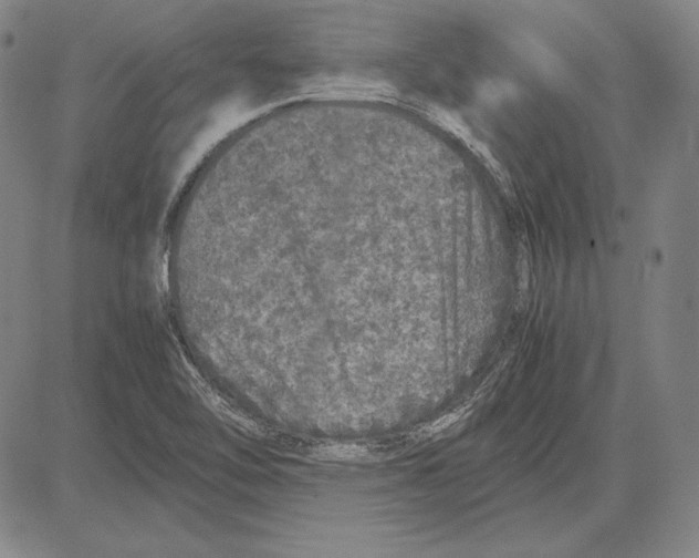 X0000081611462200702121602