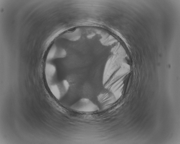 X0000081611463200702121602