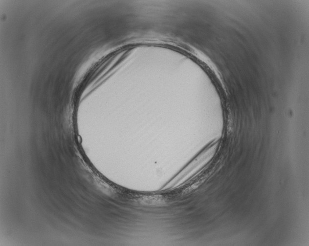 X0000081611464200702121602