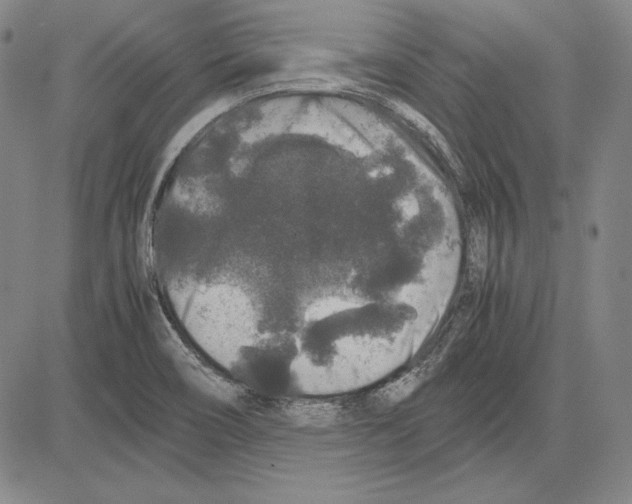 X0000081611466200702121602