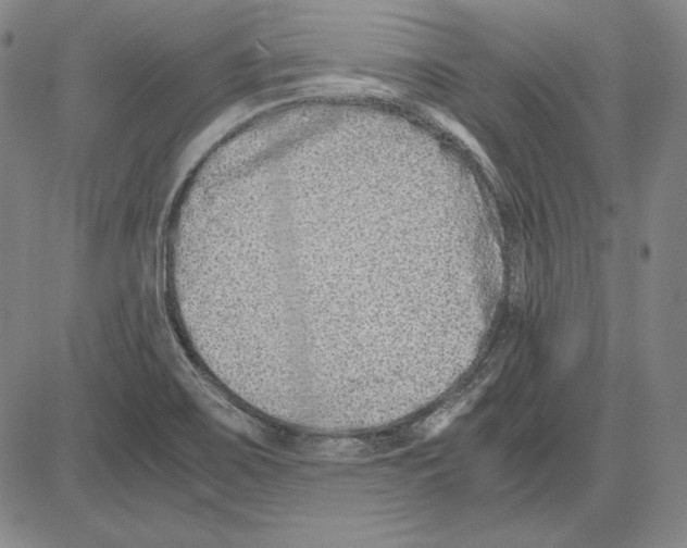 X0000081611467200702121602