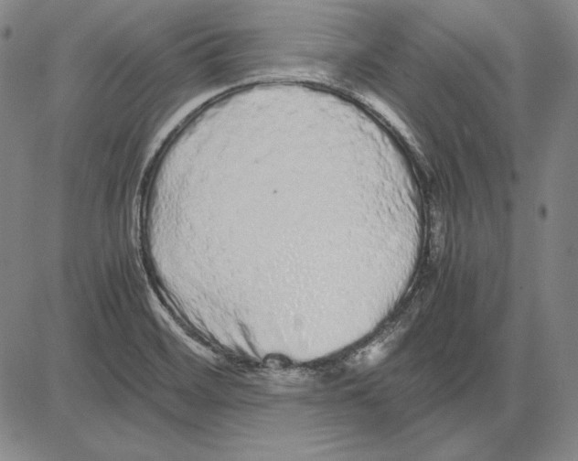 X0000081611468200702121602