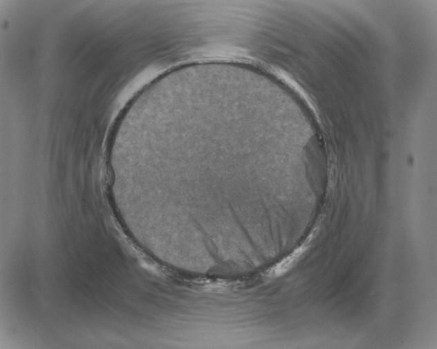 X0000081611469200702121602