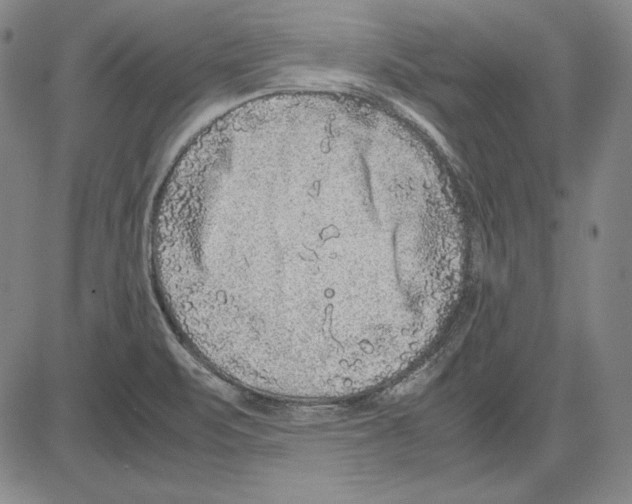 X0000081611471200702121602