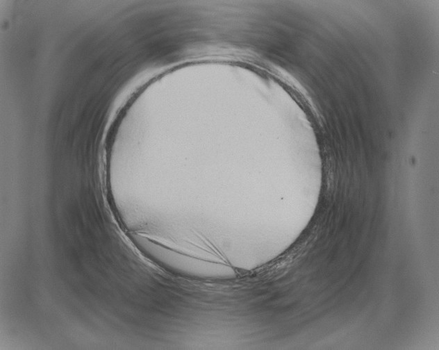 X0000081611472200702121602